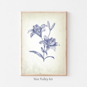 Vintage Floral Print, Blue Wall Decor, Lily Flower Gallery Wall Art, Botanical Fine Art Posters, Neutral Sketch Prints, Digital Download