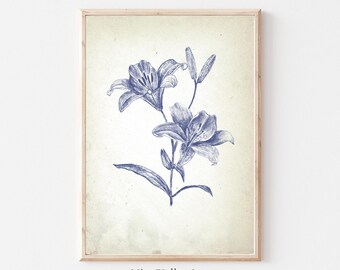 Impresión floral vintage, decoración de pared azul, arte de pared de galería de flores de lirio, carteles de bellas artes botánicas, impresiones de bocetos neutros, descarga digital