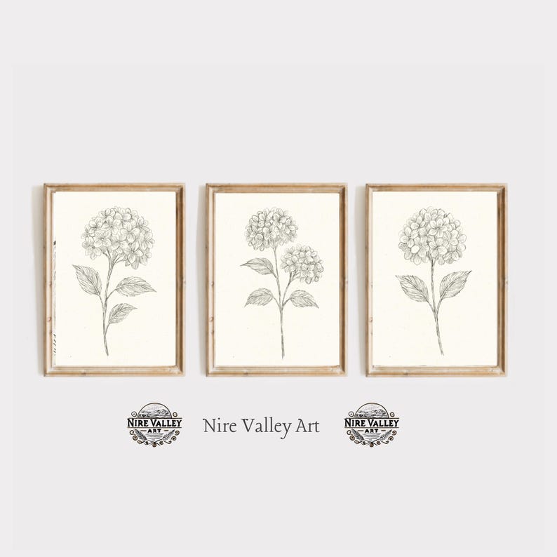 Vintage Hydrangea Floral Sketch Print Set of 3, Neutral Wall Decor ...