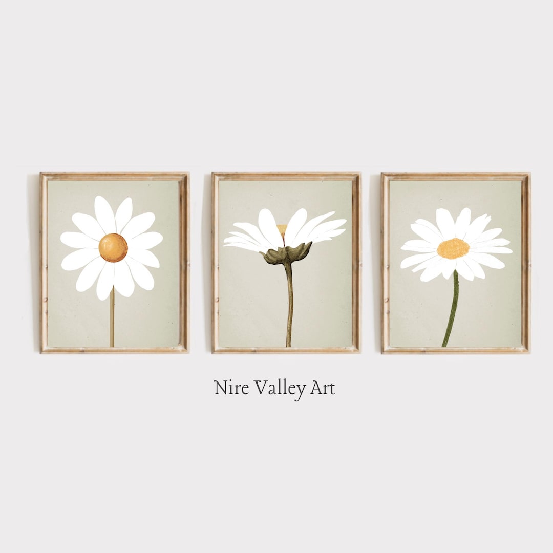 Daisy Print Set of 3, Girls Daisy Wall Art, Nursery Print, Flower ...