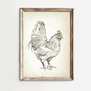 Puede incluir: Un dibujo en blanco y negro de un gallo con una cresta y barbillas detalladas. El gallo est&aacute; de pie sobre un fondo marr&oacute;n claro.