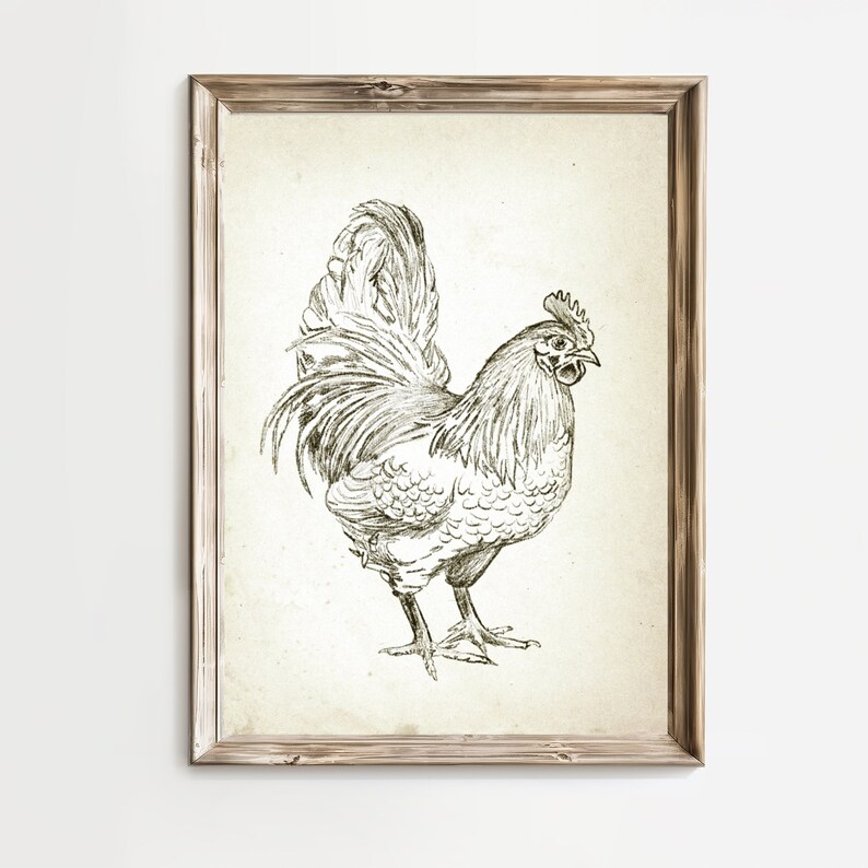 Puede incluir: Un dibujo en blanco y negro de un gallo con una cresta y barbillas detalladas. El gallo est&aacute; de pie sobre un fondo marr&oacute;n claro.