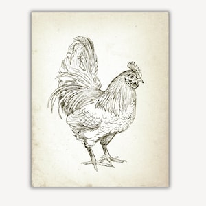Puede incluir: Un dibujo en blanco y negro de un gallo con una cresta y barbillas detalladas. El gallo est&aacute; de pie con las plumas de la cola extendidas.