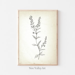 Vintage Botanical Sketch | Gallery Wall PRINTABLE | Neutral farmhouse Kitchen Sketch Art | Flower Tree Branch