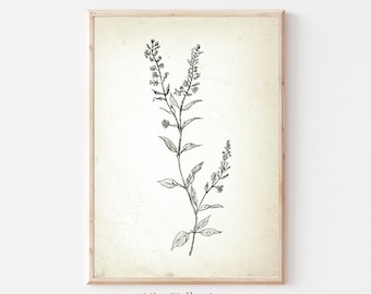 Vintage Botanical Sketch | Gallery Wall PRINTABLE | Neutral farmhouse Kitchen Sketch Art | Flower Tree Branch