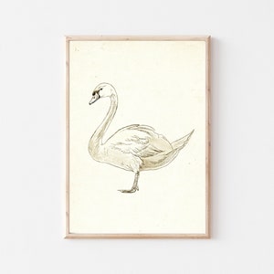 Vintage Swan Print , Gallery Wall Art,Neutral Nursery Sketch,Antique Nursery Wall Decor, Country Farmhouse Decor
