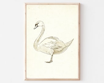 Vintage Swan Print , Gallery Wall Art,Neutral Nursery Sketch,Antique Nursery Wall Decor, Country Farmhouse Decor