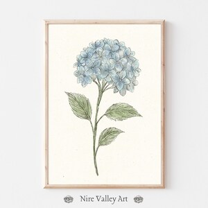 Blue Hydrangea Floral Sketch Wall Art , Vintage Flower Print, Blue Gallery Wall Art, Botanical Fine Art Posters, Neutral Sketch Art Prints