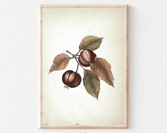 Botanical Tree Branch Print, Vintage Chestnut Wall Art, Fall Prints, Rustic Thanksgiving Decor,Halloween Autumn Print, Digital Download