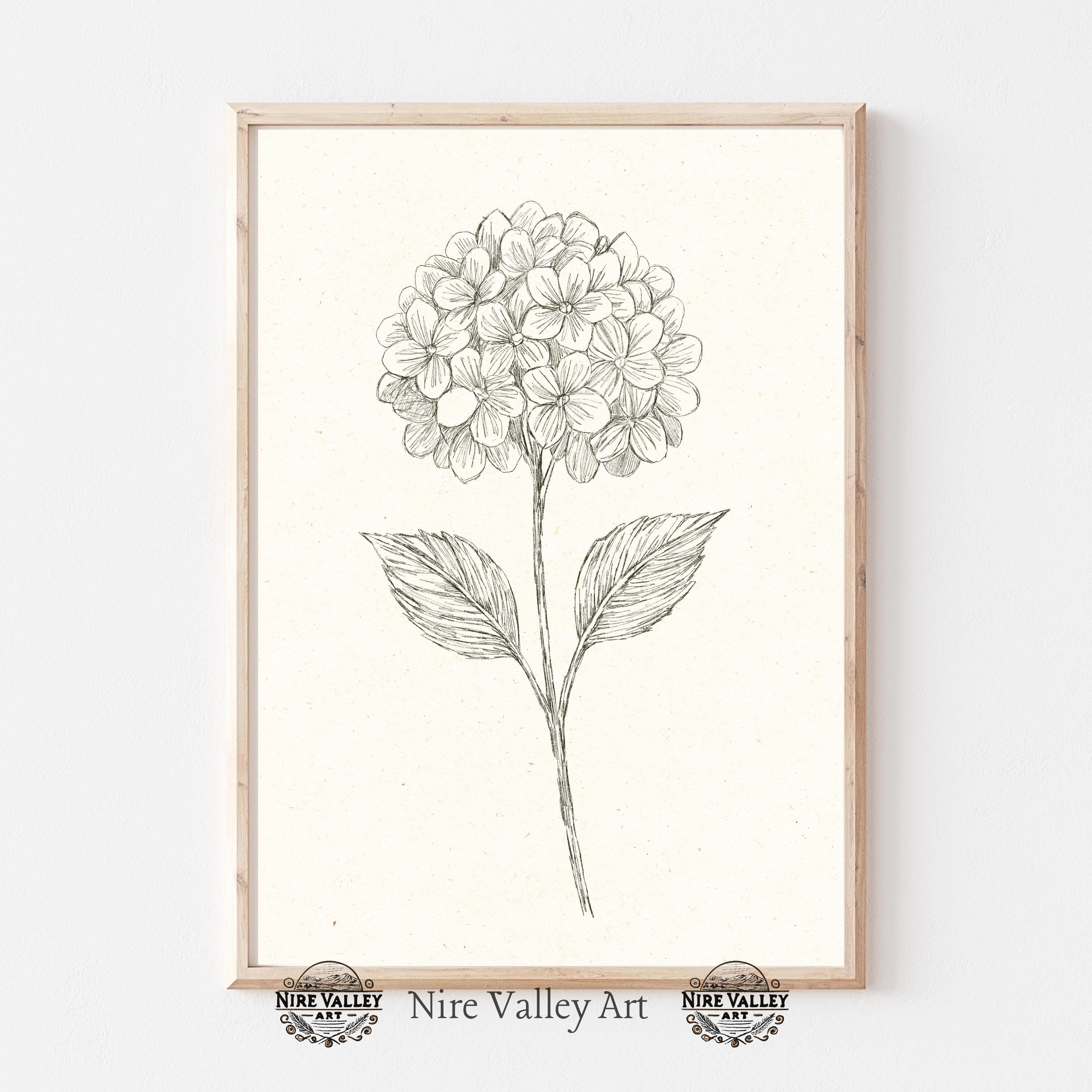 Vintage Hydrangea Floral Sketch Print Set of 3, Neutral Wall Decor ...