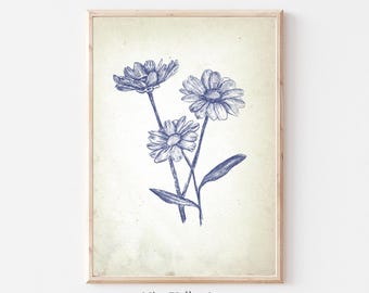 Impresión de margaritas vintage, decoración de pared azul, arte de pared de galería floral, carteles de bellas artes botánicas, impresión de boceto neutro, descarga digital