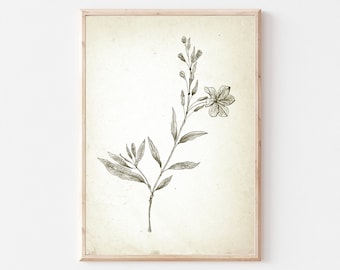 Vintage Botanical Gallery Wall PRINTABLE | Neutral farmhouse Kitchen Sketch Art | Flower Branch