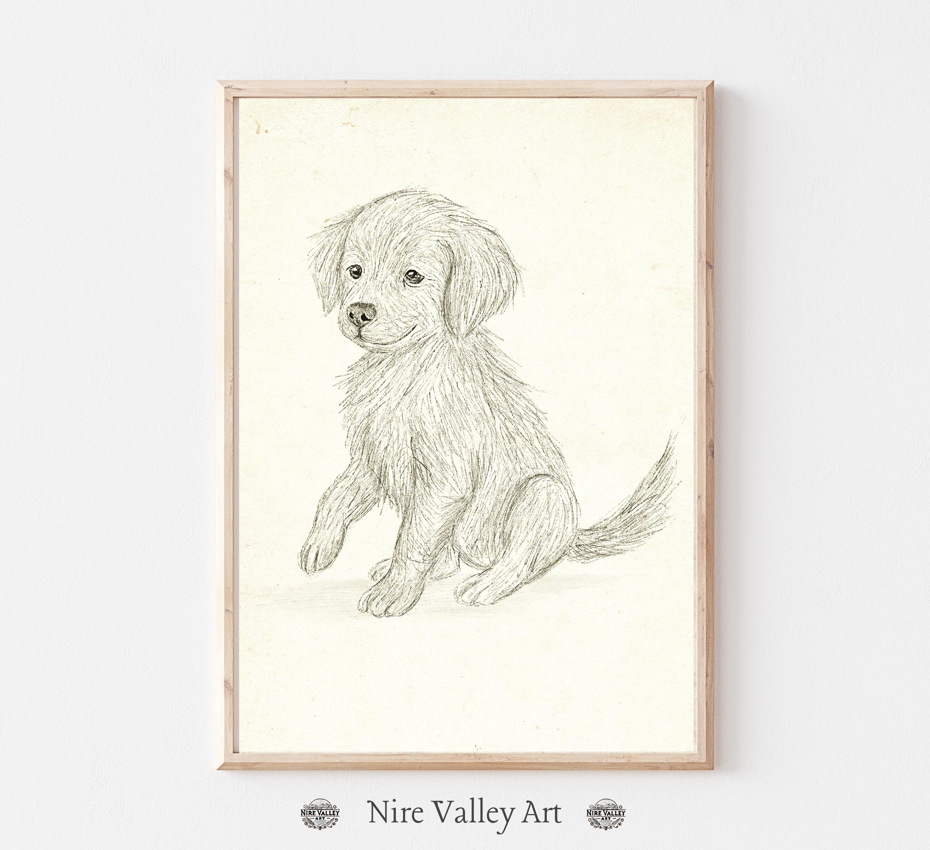 vintage ヨーロッパ輸入手描き犬装飾画 ゴールデンレトリバーの子犬の鉛筆スケッチプリント、犬のウォール