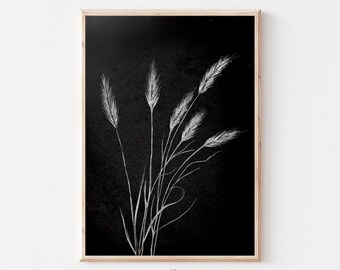 Könnte beinhalten: Eine Schwarzweißillustration eines Bündels Weizenhalme auf schwarzem Hintergrund. Die Weizenhalme sind in einem einfachen, minimalistischen Stil gezeichnet.