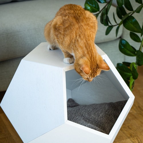 Modern Walnut Tree Veneered Mdf Cat Bed Cat Cave Premium Etsy