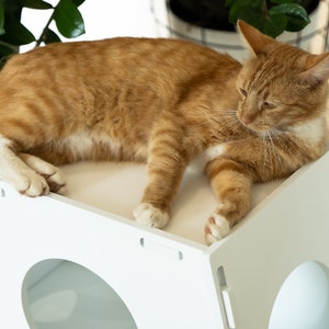 Cat Bed, Cat Furniture, Cat Cute Bed, Cat Bed Cave, Cat Wall Bed, Cat Tree, Modern Cat Tree, Cat Scratcher, Cat Wall Furniture, Cat Gift