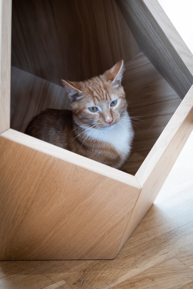 Lit de chat moderne en mdf plaqué chêne Cave à chat premium Lit de chat design Meubles en bois pour animaux de compagnie Table d'appoint géométrique image 4