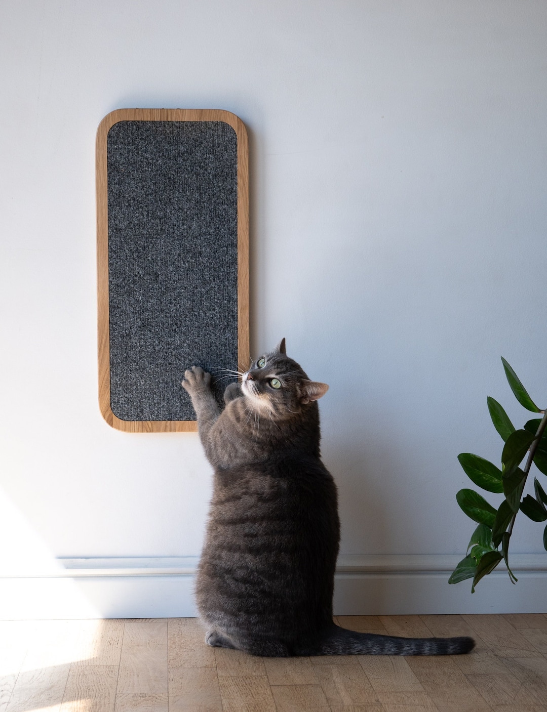 Modern Wall Mount Cat Scratcher: Oak Wood & Carpet - Etsy UK