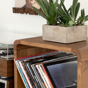 May include: A rectangular, light brown wooden storage unit with rounded corners, containing a row of vinyl records. A square, textured grey concrete planter with green succulent plants sits on the top surface of the wooden storage unit.