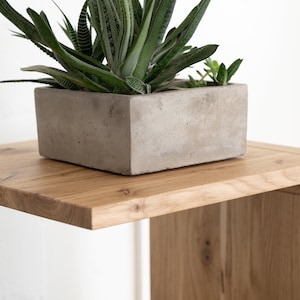 May include: A rectangular concrete planter containing a green succulent plant with pointed leaves, positioned on a light brown wooden side table with a smooth surface and a curved edge, featuring a visible wood grain and a thin black metal leg.