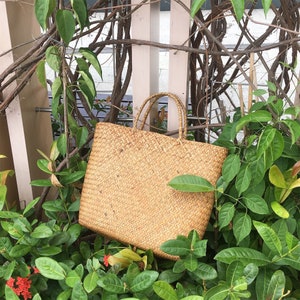 Pu&ograve; includere: Una borsa a mano in paglia intrecciata con due manici. La borsa &egrave; di colore marrone chiaro e ha un aspetto naturale e rustico. La borsa &egrave; appoggiata su un letto di foglie verdi.