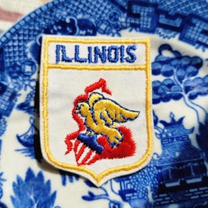 May include: Embroidered patch featuring the word "ILLINOIS" in blue lettering. The patch has a white background with a gold border and a colorful emblem of a bird and shield. The patch is placed on a blue and white patterned plate.