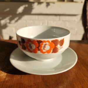 Schirnding Bavaria MCM Bowl and Saucer