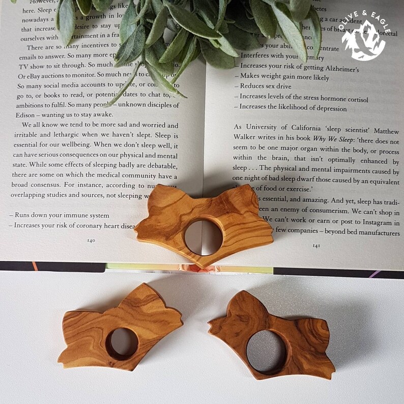 May include: Three wooden fox-shaped book page holders. Each holder has a circular opening and is made of light brown wood with visible grain. The holders are arranged on an open book with text and a sprig of greenery.