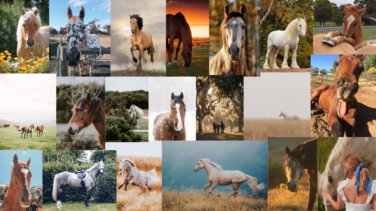 Neutral Horse Collage Kit DIGITAL | Etsy