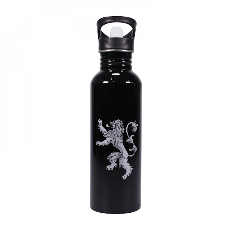 Game of Thrones I Drink Water Bottle metal 750ml - Etsy