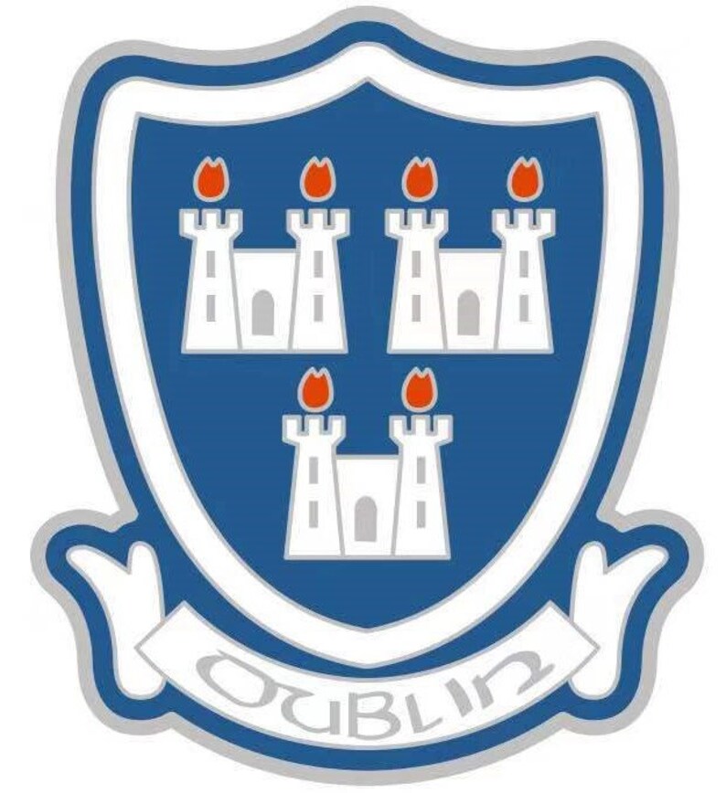 Dublin Coat of Arms Lapel Pin With Free Embroidered Patch Etsy