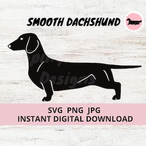 Dachshund (Smooth) Dog Standing Digital Download SVG JPG PNG Clipart
