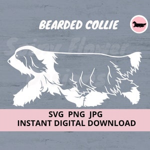 Bearded Collie Dog Gaiting Digital Download SVG JPG PNG Clipart