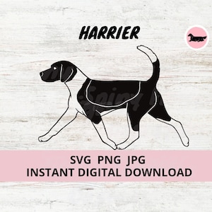 Harrier Hund Gaiting Digitaler Download SVG JPG PNG