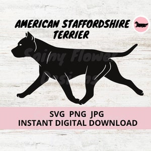 American Staffordshire Terrier Dog Gaiting Digital Download SVG JPG PNG clipart