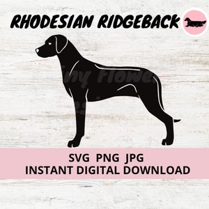 Puede incluir: Silueta negra de un perro Rhodesian Ridgeback de pie sobre un fondo de madera blanca. El texto "Rhodesian Ridgeback" está en la parte superior de la imagen. El texto "SVG PNG JPG DESCARGA DIGITAL INSTANTÁNEA" está en la parte inferior de la imagen.