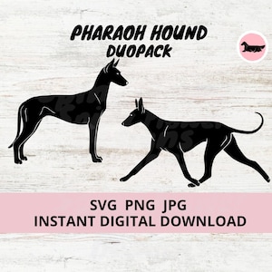 Pharaoh Hound Dog 2 pack Duopack Digital Download SVG JPG PNG Clipart