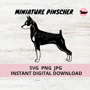 May include: Black and white silhouette of a Miniature Pinscher dog standing on a white wooden background. The text "MINIATURE PINSHCER" is above the dog. The text "SVG PNG JPG INSTANT DIGITAL DOWNLOAD" is below the dog.