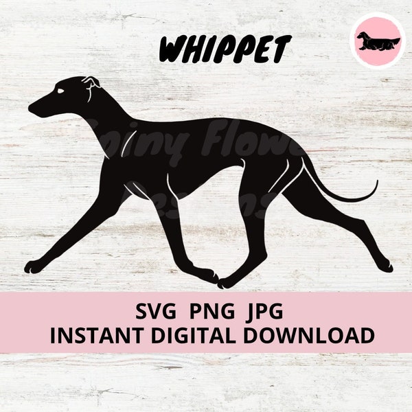 Whippet Hund Gaiting Digital Download SVG JPG PNG Clipart