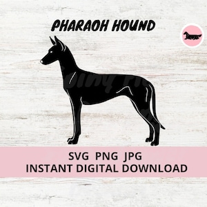 Pharaoh Hound Dog Digital Download SVG JPG PNG Clipart