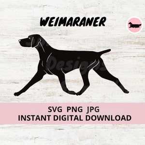 May include: Black silhouette of a Weimaraner dog running. The text "WEIMARANER" is above the dog. The text "SVG PNG JPG INSTANT DIGITAL DOWNLOAD" is below the dog.