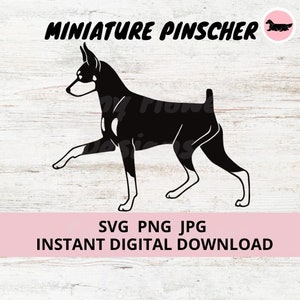May include: Black silhouette of a Miniature Pinscher dog standing on a white wood background. The text "MINIATURE PINCHER" is above the dog. The text "SVG PNG JPG INSTANT DIGITAL DOWNLOAD" is below the dog.