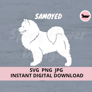 Samoyed Dog Standing Digital Download SVG JPG PNG Clipart