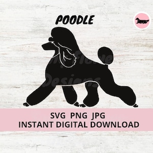 Poodle (Puppy Clip) Dog Gaiting Digital Download SVG JPG PNG Clipart