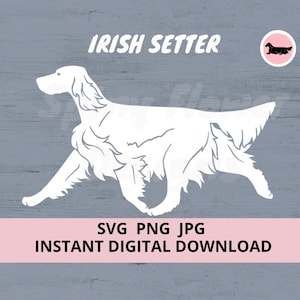 Cão Setter Irlandês andando Digital Download SVG JPG PNG Clipart