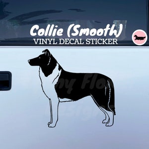 Collie Dog (Smooth Coat) Standing Vinyl Decal / Bumper Sticker