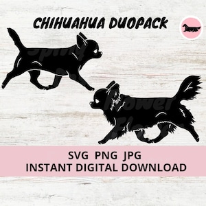 Chihuahua hond glad en langharig 2pack Duopack Gaiting digitale download SVG JPG PNG clipart