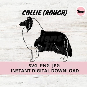 Collie (Rough) Cane Download digitale SVG JPG PNG Clipart