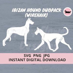 Ibizan Hound Dog wirehaired duopack 2-pack gaiting Digital Download SVG JPG PNG