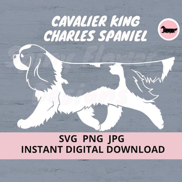 Cavalier King Charles Spaniel Dog Gaiting Descarga Digital SVG JPG PNG clipart